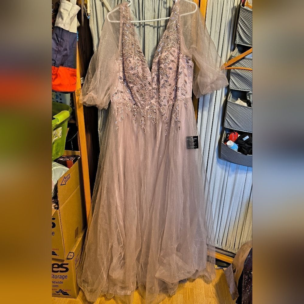 Cinderella Divine beaded tulle dress